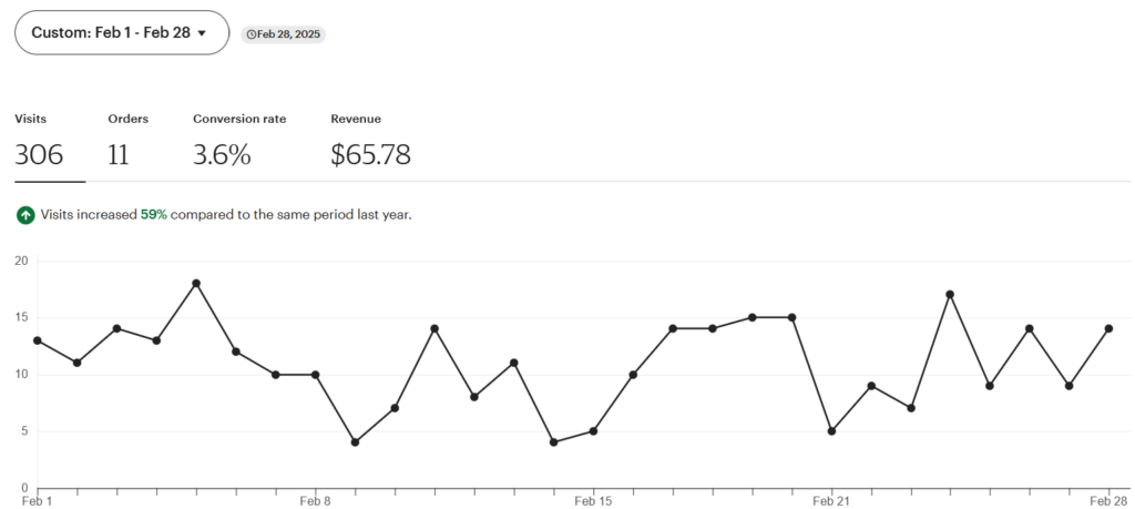 February 2025 Etsy Income