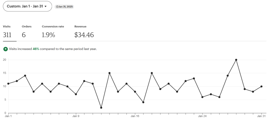 January 2025 Etsy Income