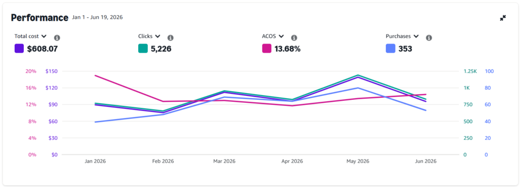 Amazon KDP 6 Months Marketing